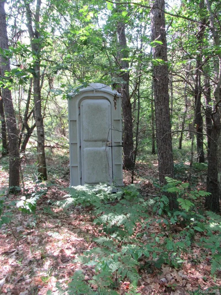 Vl Shepherds Trail 10 Acres Beaver Creek Township MI 48653