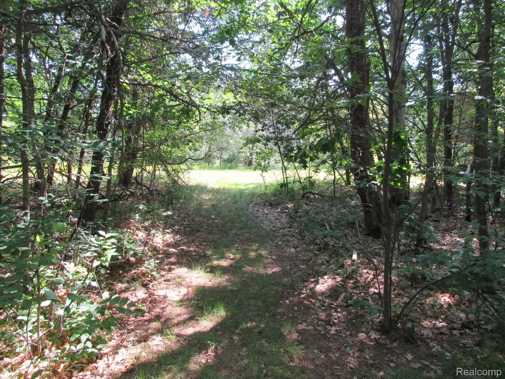 Vl Shepherds Trail 10 Acres Beaver Creek Township MI 48653