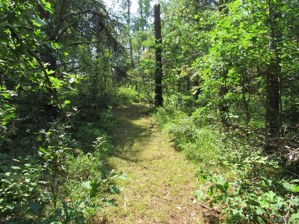 Vl Shepherds Trail 10 Acres Beaver Creek Township MI 48653