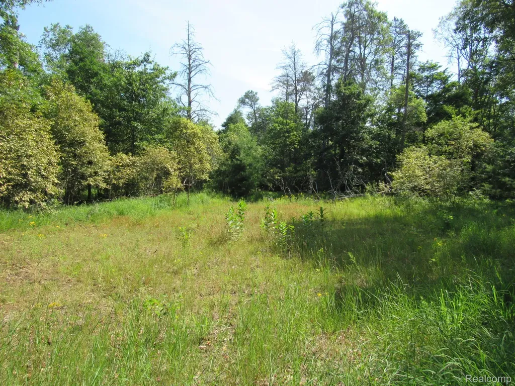 Vl Shepherds Trail 10 Acres Beaver Creek Township MI 48653