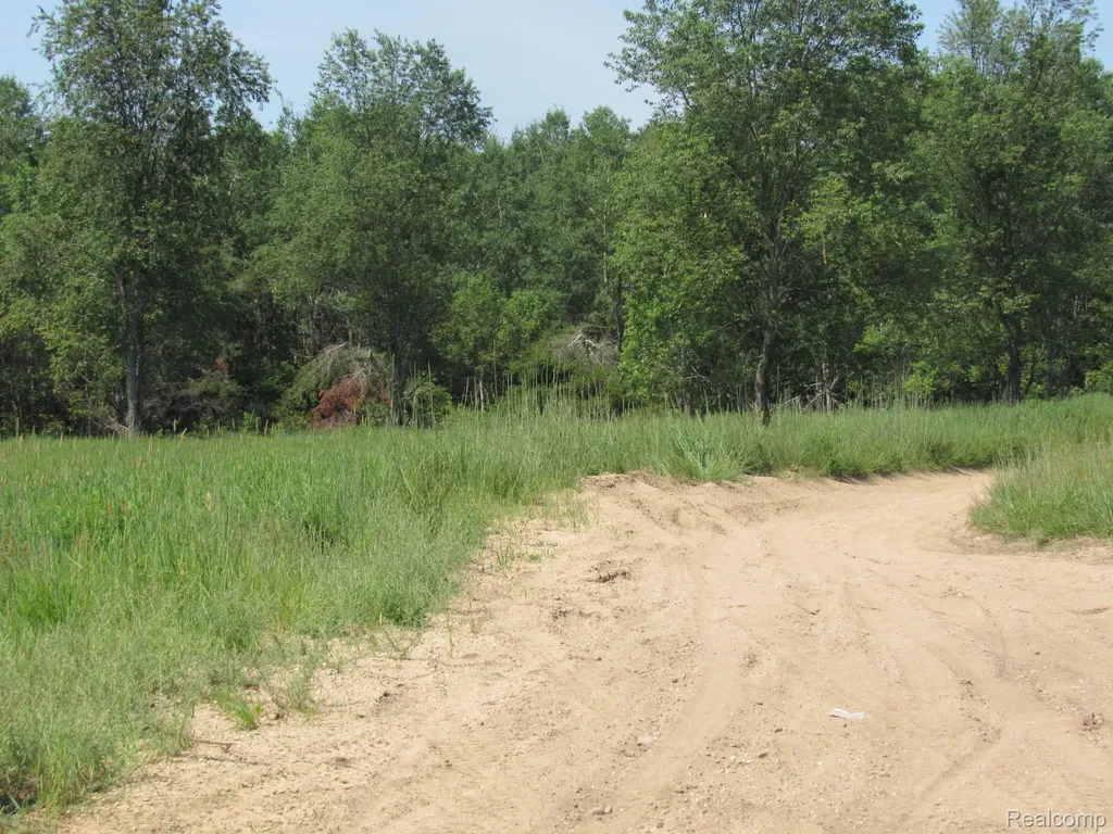 Vl Shepherds Trail 10 Acres Beaver Creek Township MI 48653