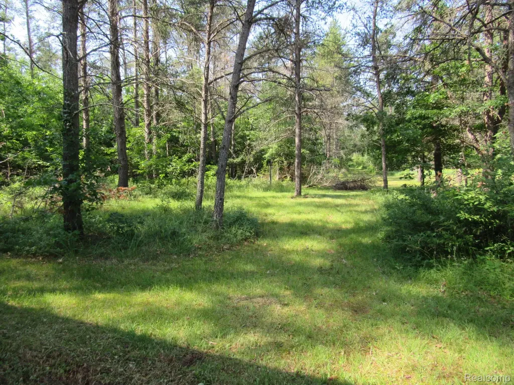Vl Shepherds Trail 10 Acres Beaver Creek Township MI 48653