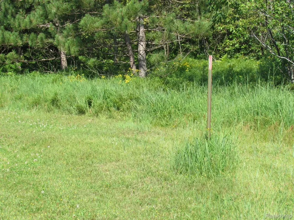 Vl Shepherds Trail 10 Acres Beaver Creek Township MI 48653