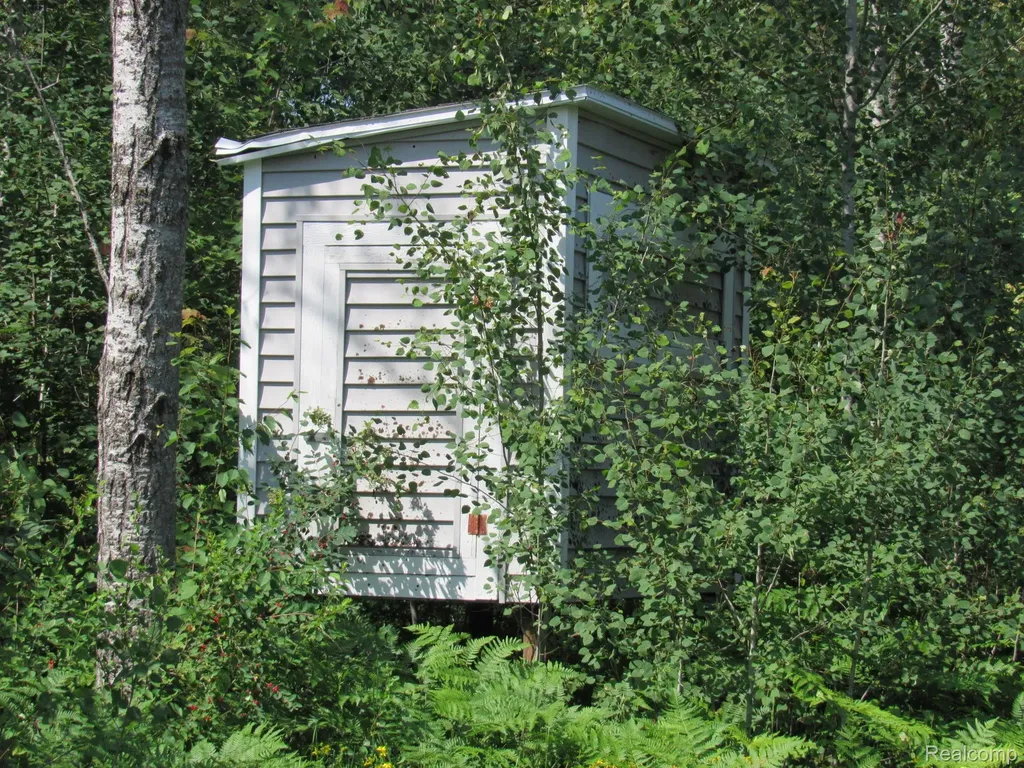 Vl Shepherds Trail 10 Acres Beaver Creek Township MI 48653