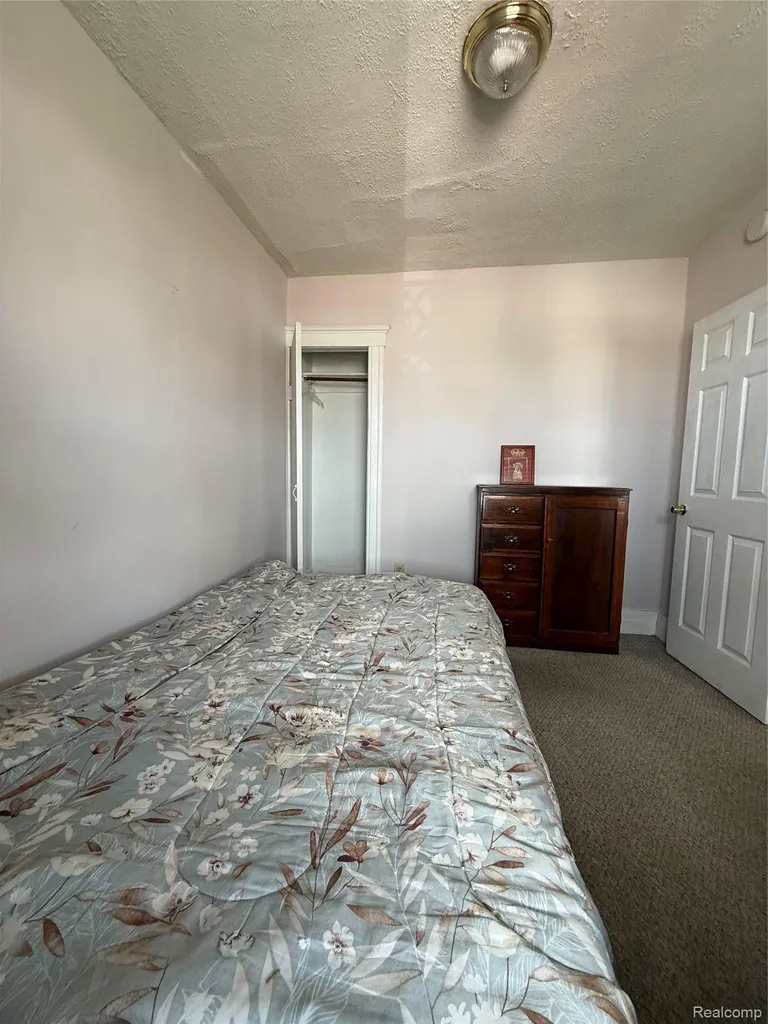11375 Moran Street Hamtramck City MI 48212