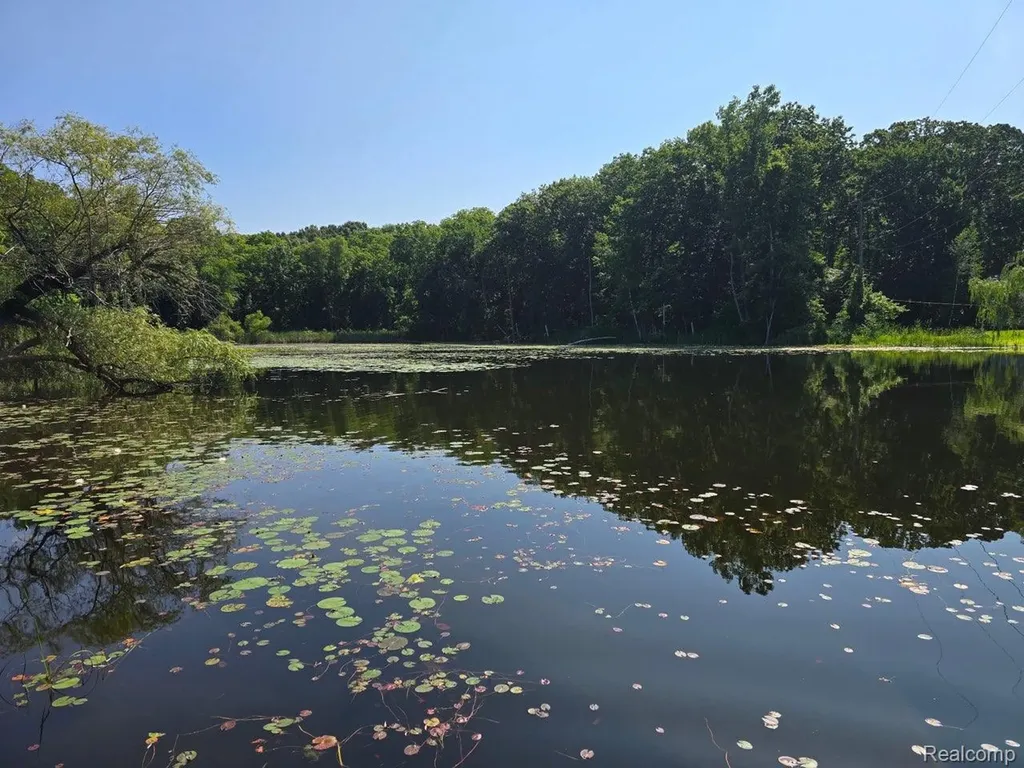 5751 Island Drive Hadley Township MI 48438