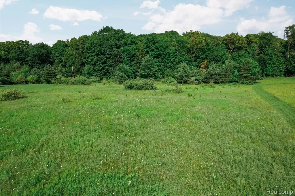 00 Shadynook Road Central Lake Township MI 49622