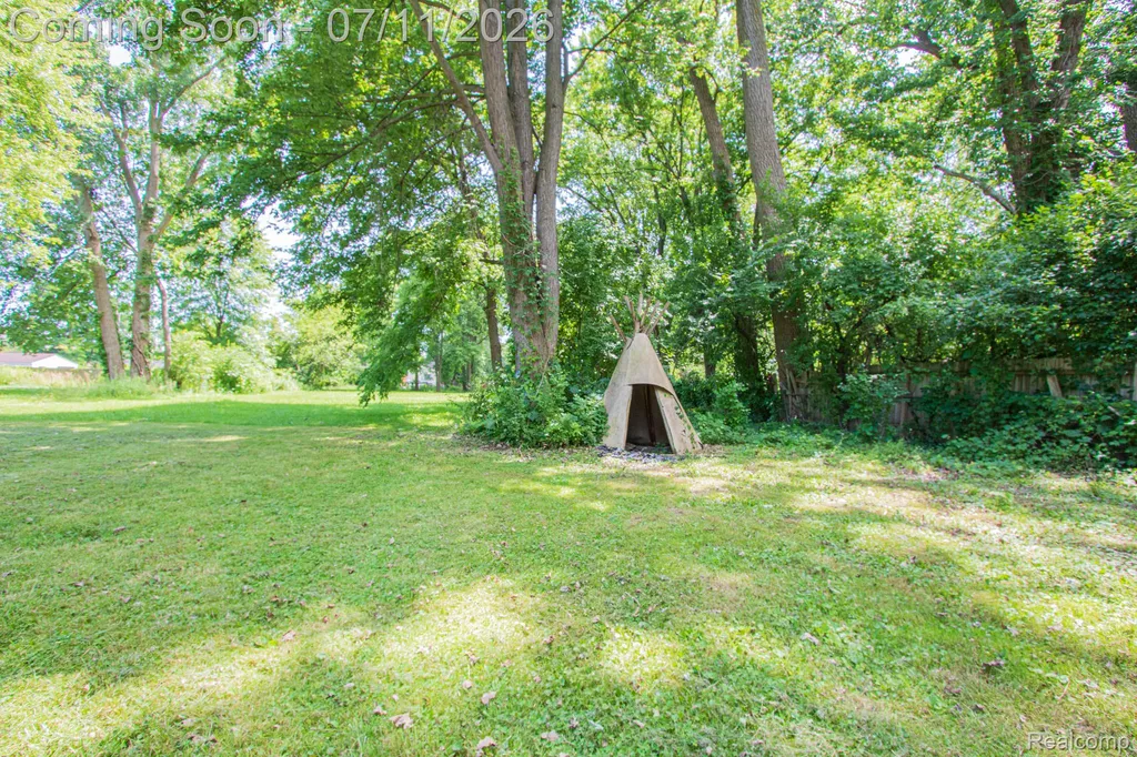 20500 Mckishnie Street Clinton Charter Township MI 48035