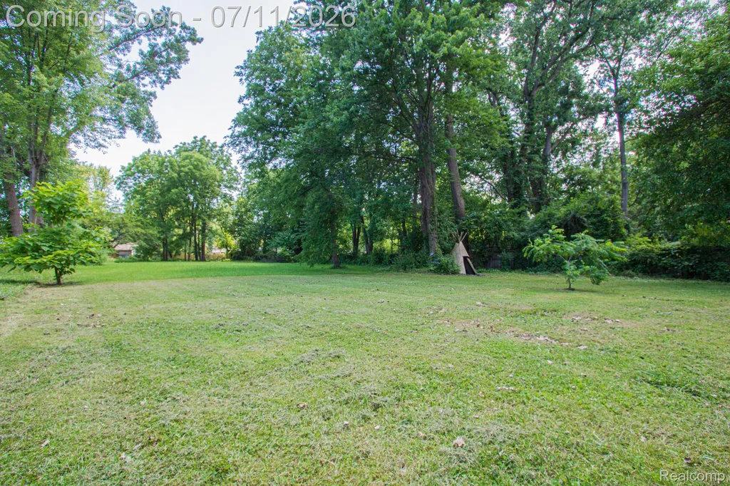 20500 Mckishnie Street Clinton Charter Township MI 48035