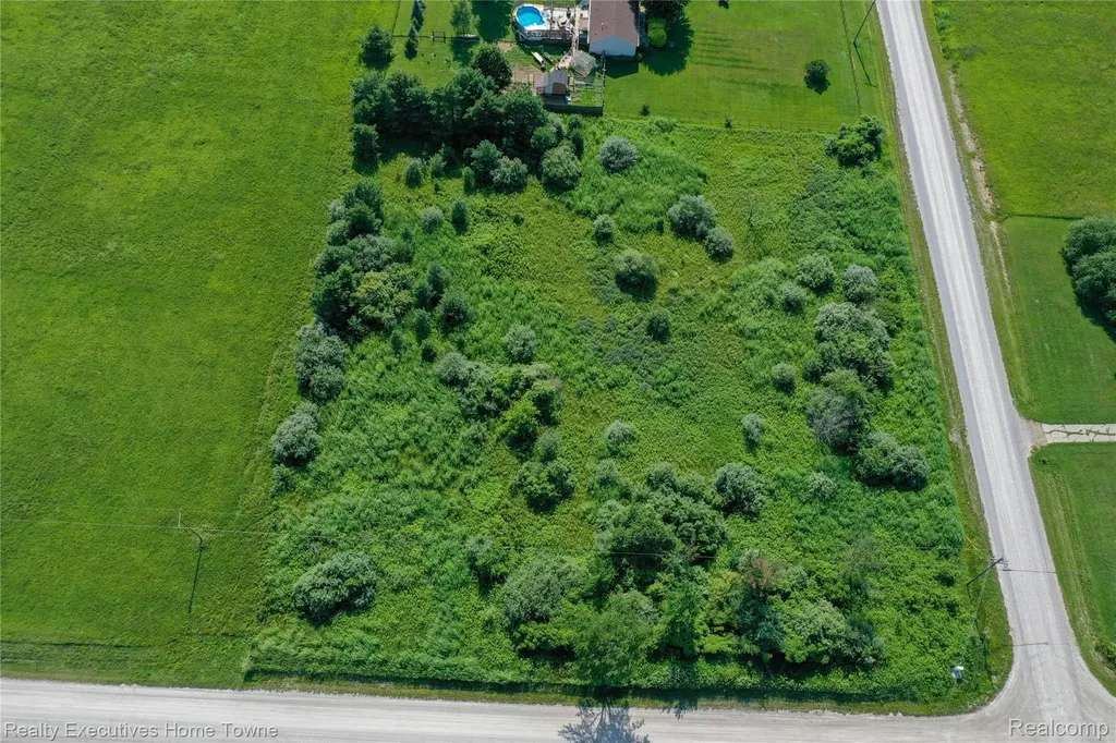 0000 Vincent Grant Township MI 48032