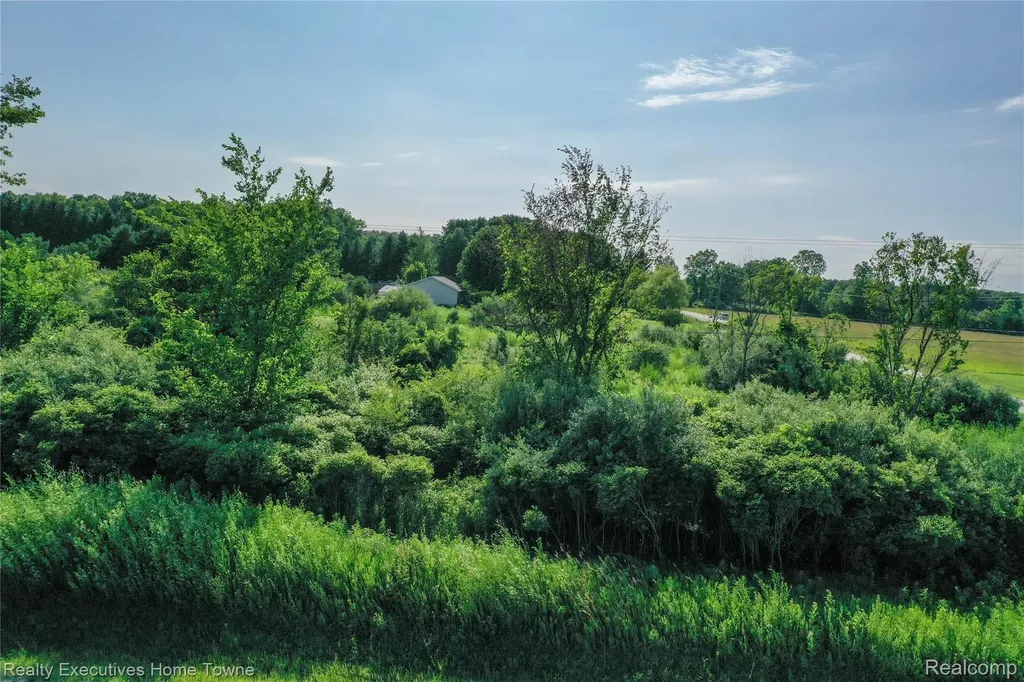 0000 Vincent Grant Township MI 48032