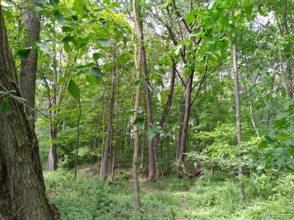 000 Rose Hill Road Unadilla Township MI 48169