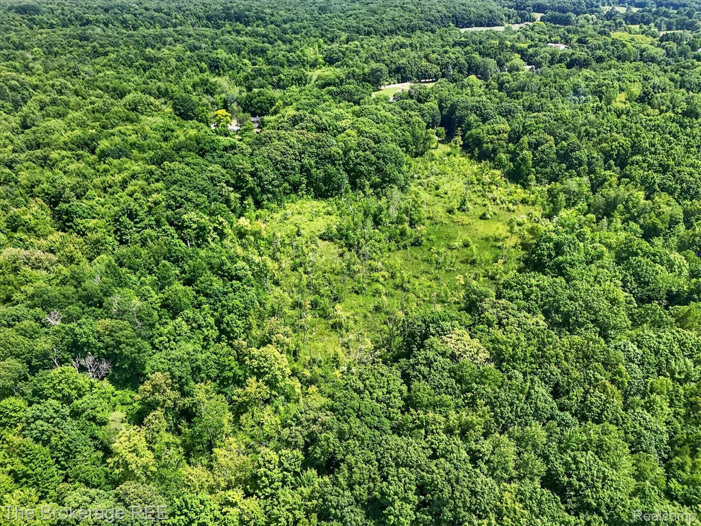 13269 N Genesee Road Thetford Township MI 48420