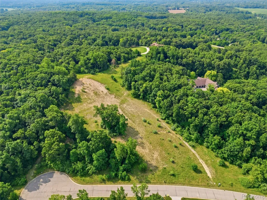 20 Grand Summit Drive Tyrone Township MI 48430