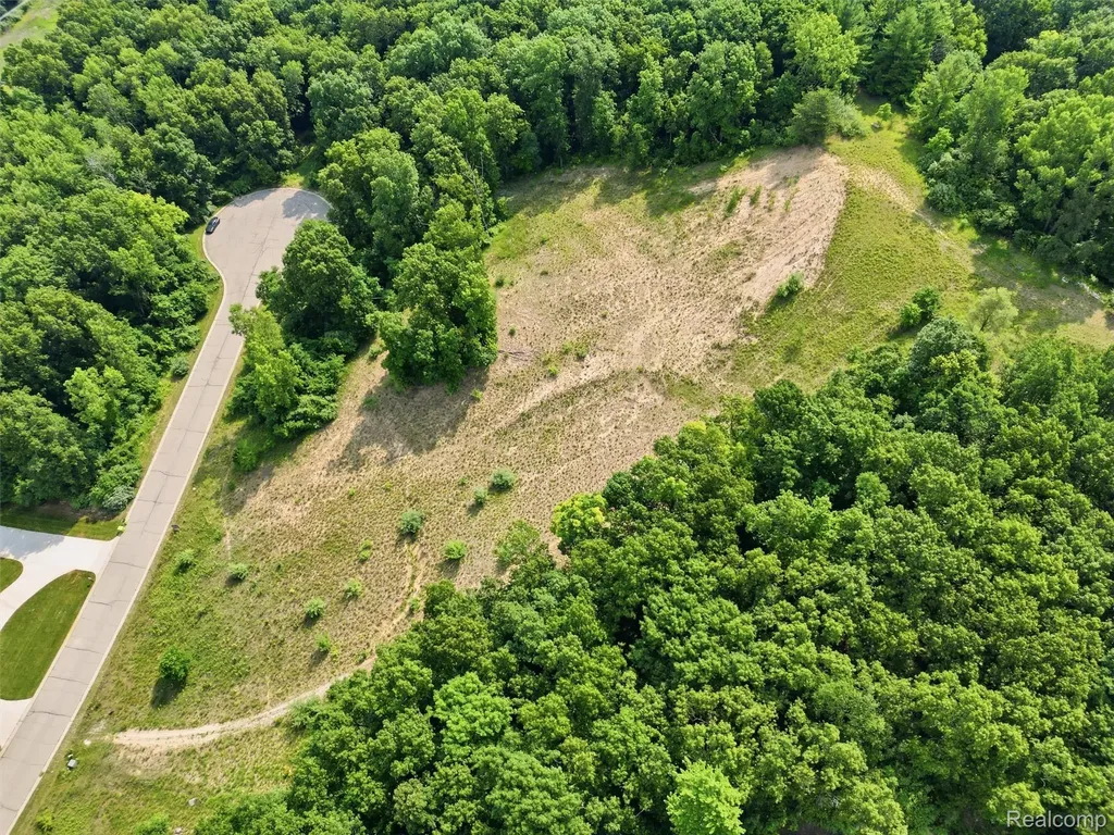 20 Grand Summit Drive Tyrone Township MI 48430