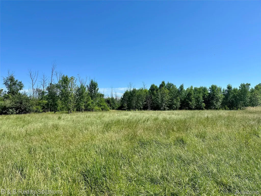 0000 Elm Road Gore Township MI 48468
