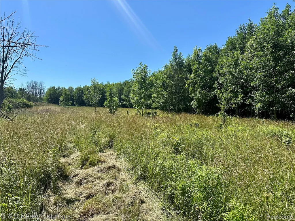 0000 Elm Road Gore Township MI 48468