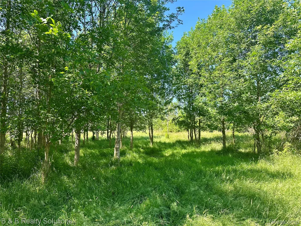 0000 Elm Road Gore Township MI 48468