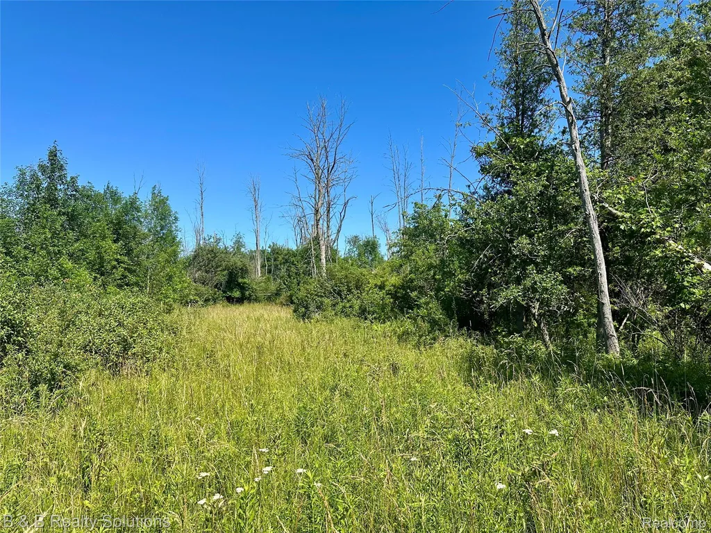 0000 Elm Road Gore Township MI 48468