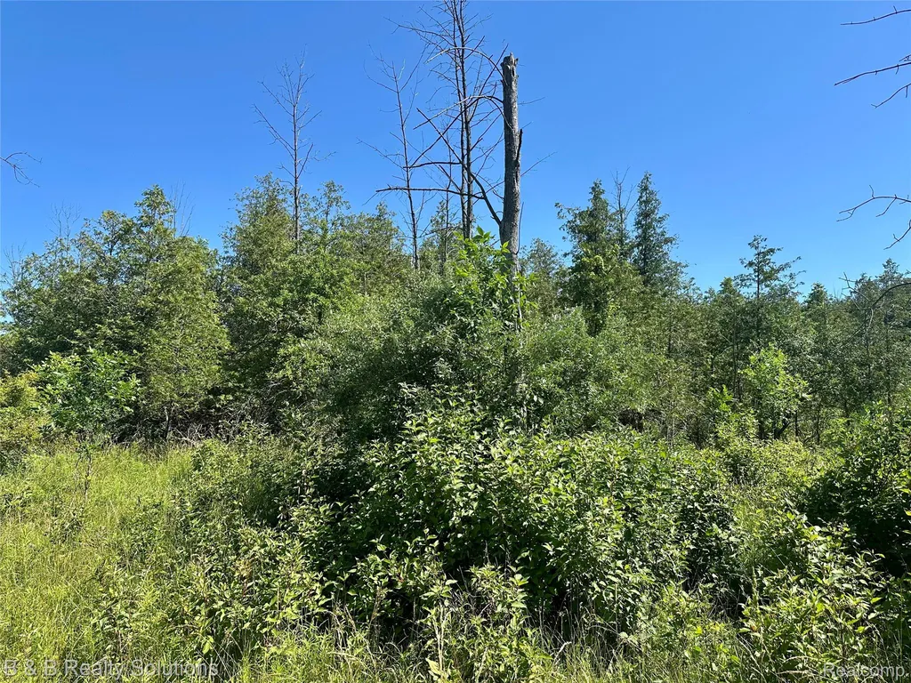 0000 Elm Road Gore Township MI 48468