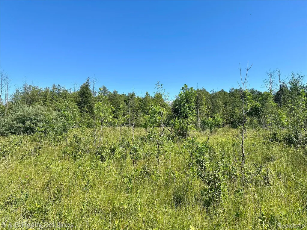 0000 Elm Road Gore Township MI 48468