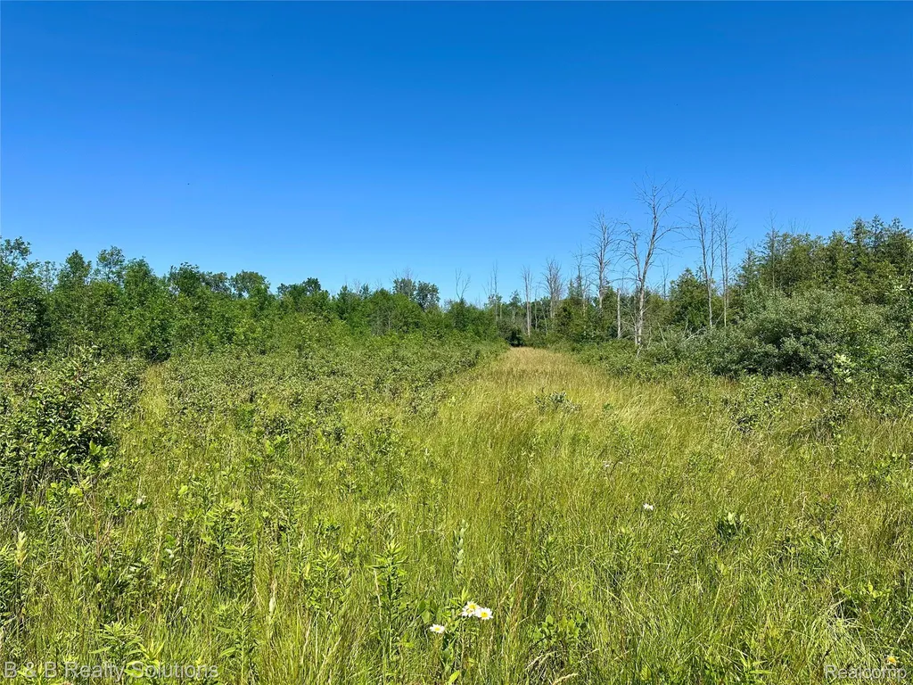 0000 Elm Road Gore Township MI 48468