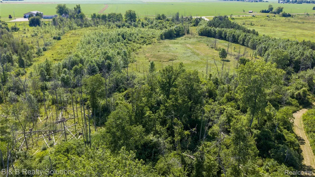 0000 Elm Road Gore Township MI 48468