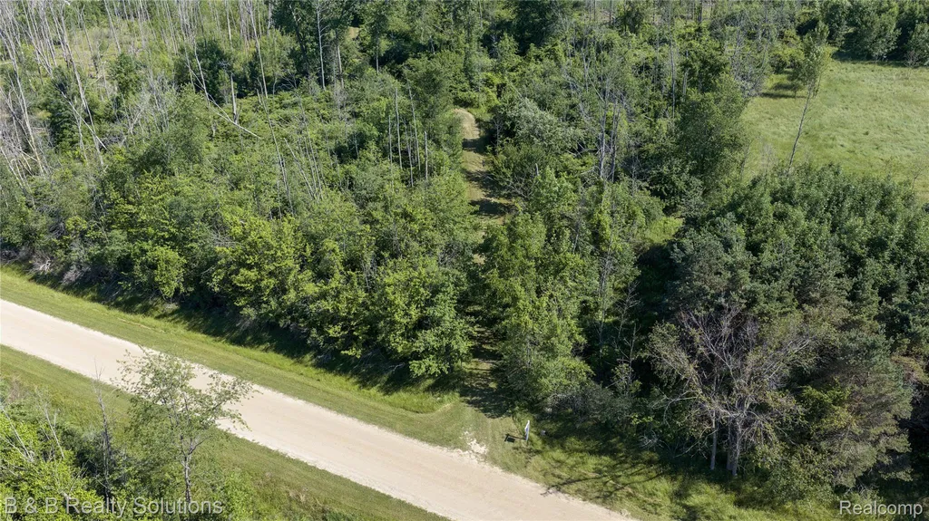 0000 Elm Road Gore Township MI 48468