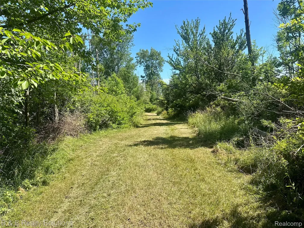 0000 Elm Road Gore Township MI 48468