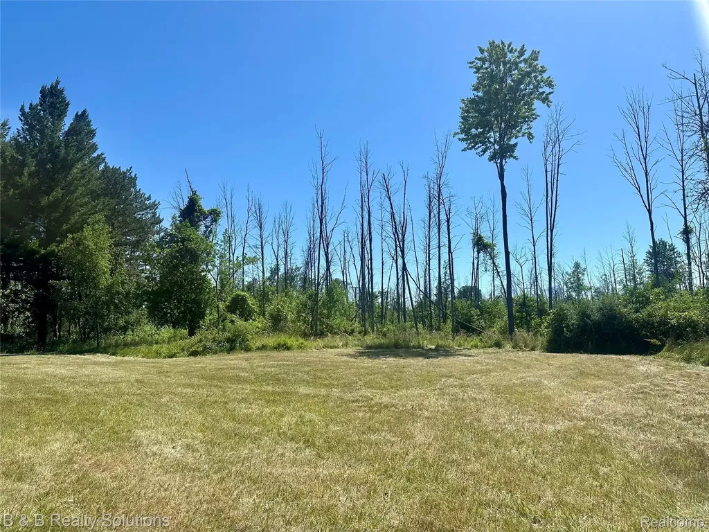 0000 Elm Road Gore Township MI 48468