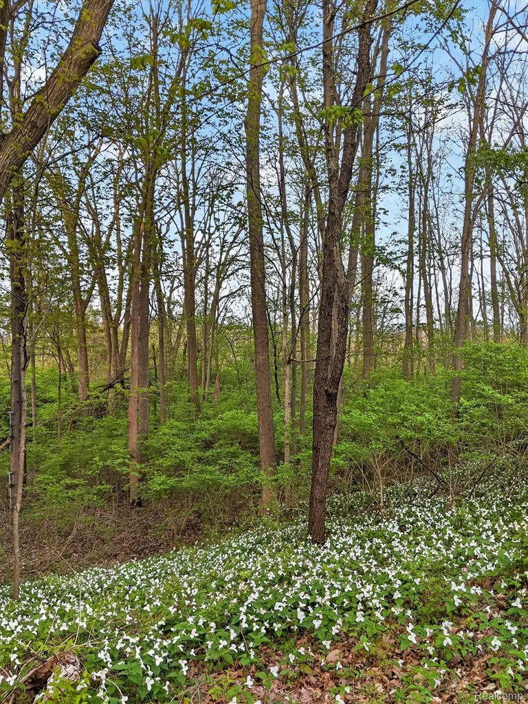 7186 River Road Flushing Charter Township MI 48433
