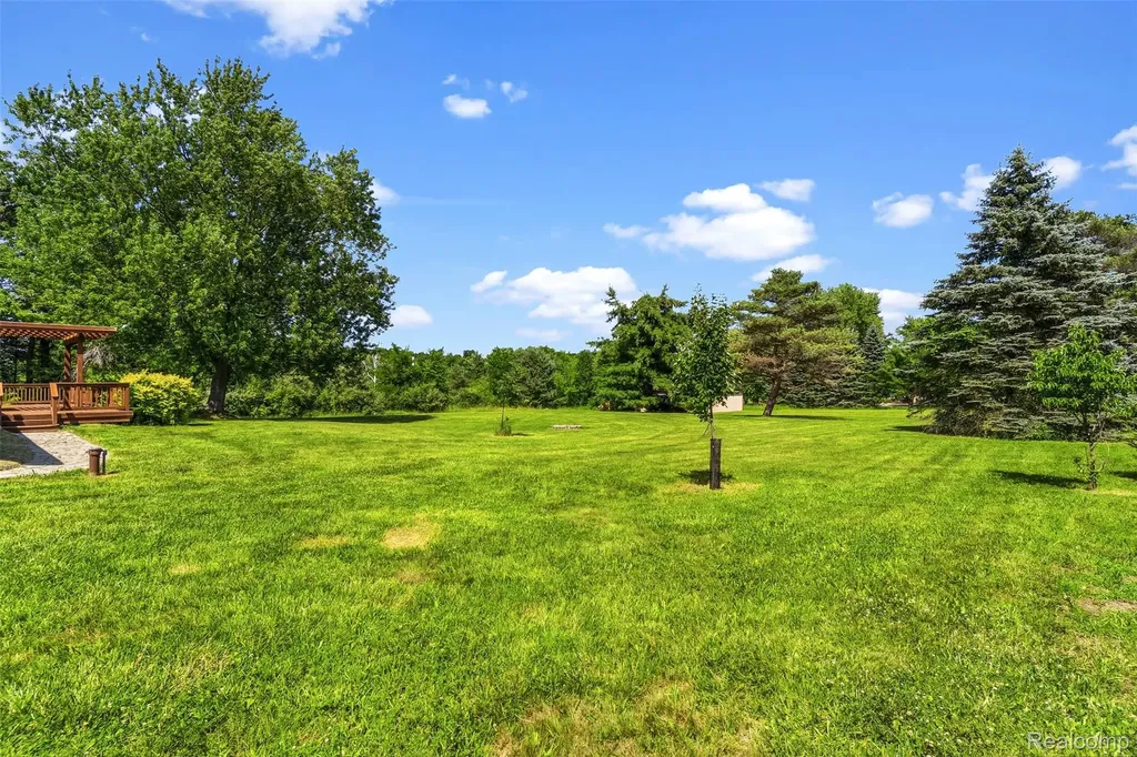 9200 Hickory Ridge Road Rose Township MI 48442