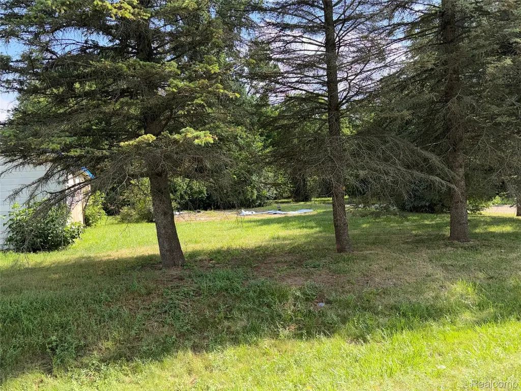 1387 W Princeton Avenue Mt. Morris Township MI 48505