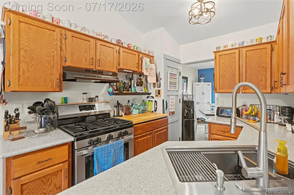 5035 Island View Drive Fenton Charter Township MI 48451