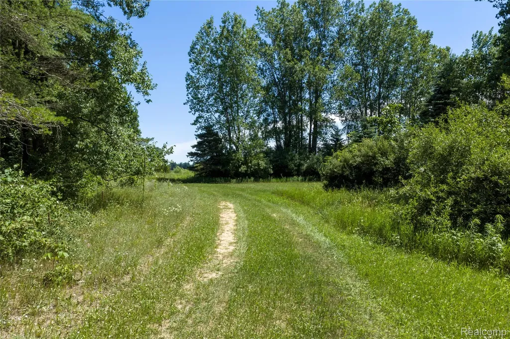 Parcel B Dodge Road Ellington Township MI 48726