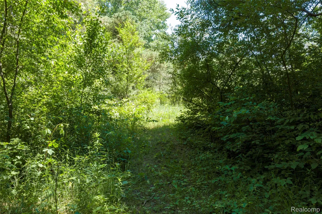 Parcel B Dodge Road Ellington Township MI 48726