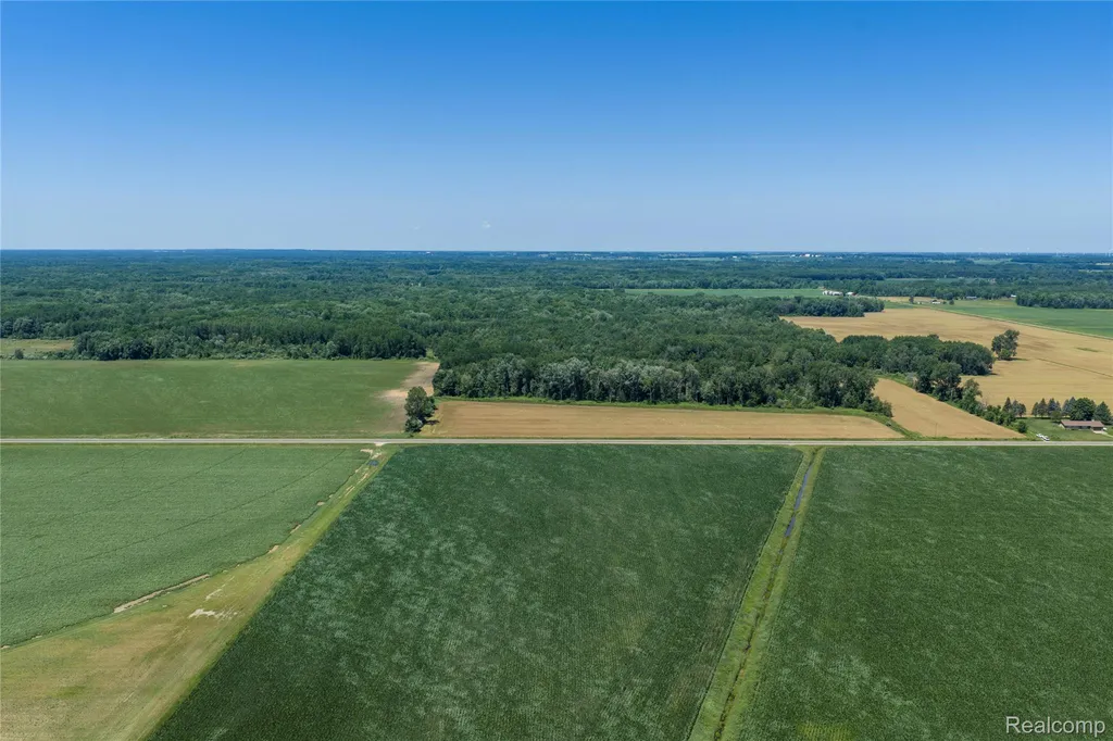 Parcel B Dodge Road Ellington Township MI 48726
