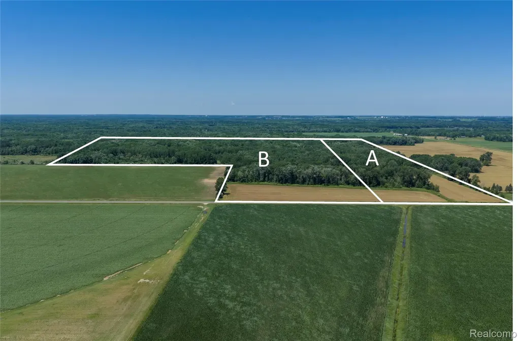 Parcel B Dodge Road Ellington Township MI 48726