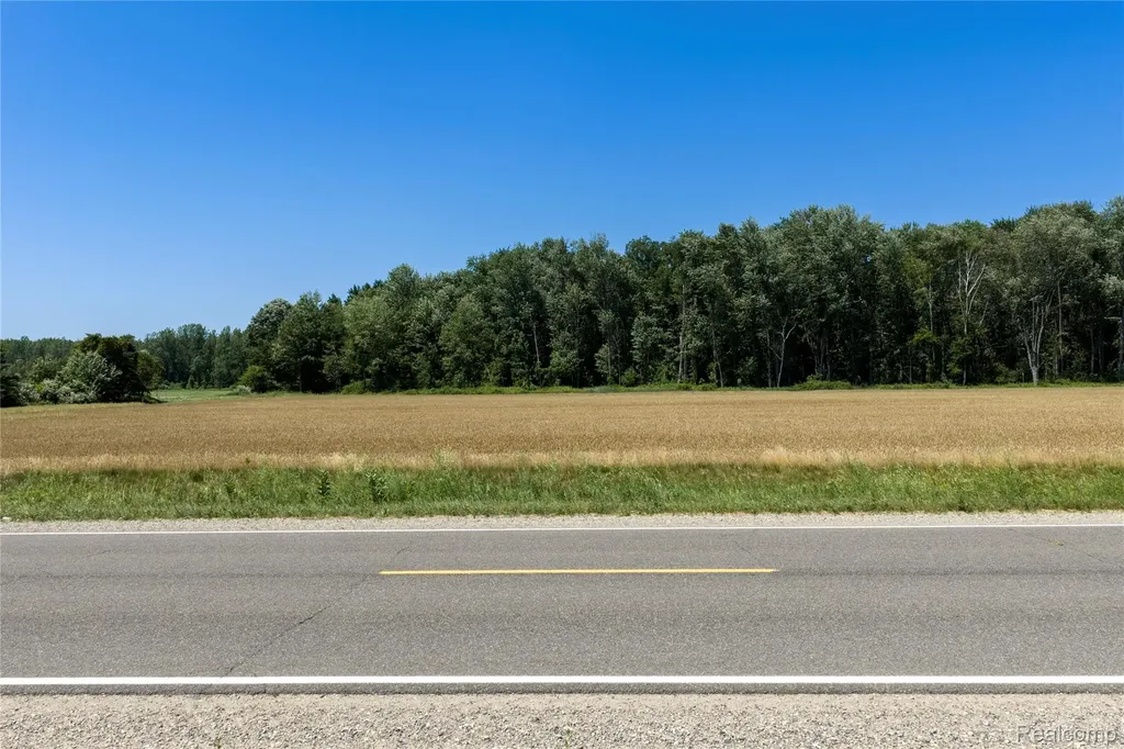 Parcel B Dodge Road Ellington Township MI 48726