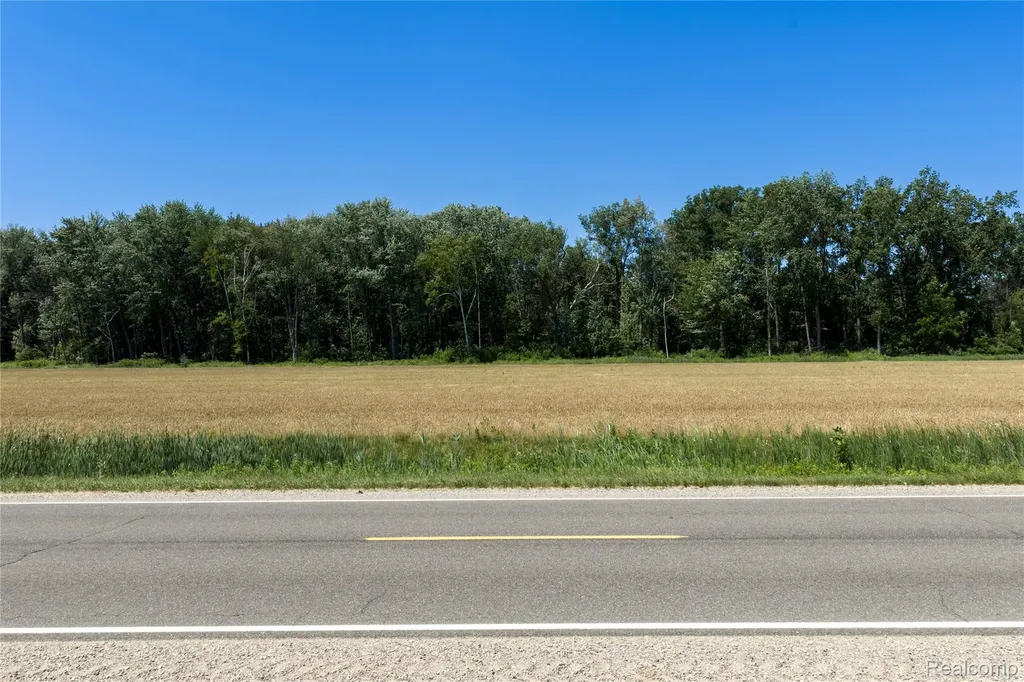 Parcel B Dodge Road Ellington Township MI 48726