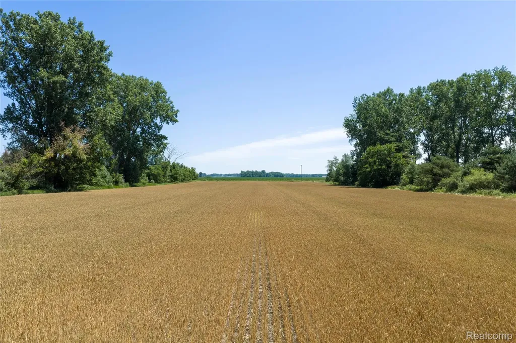 Parcel A Dodge Road Ellington Township MI 48726