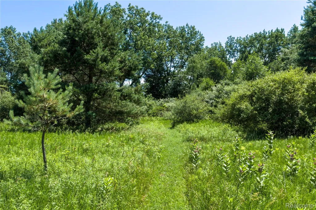 Parcel A Dodge Road Ellington Township MI 48726