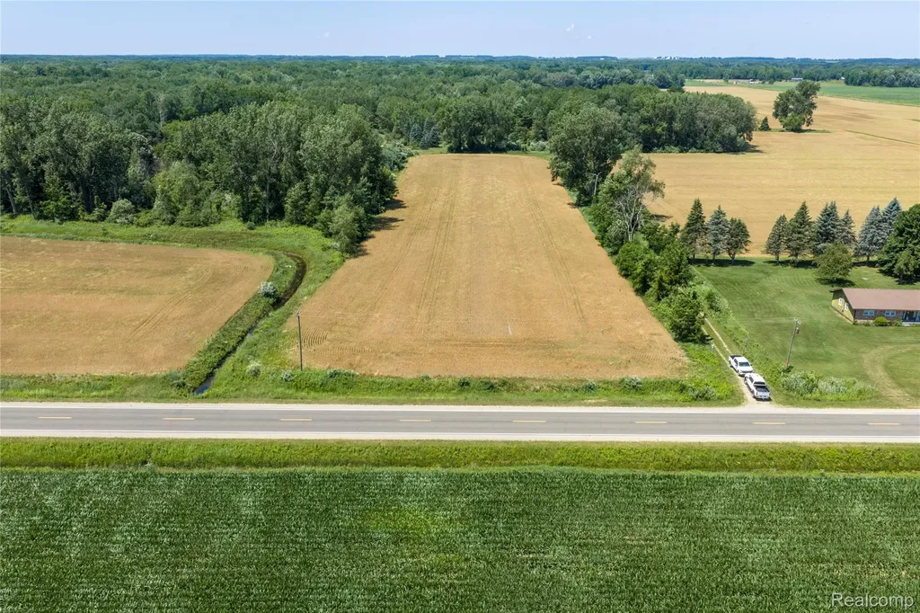Parcel A Dodge Road Ellington Township MI 48726