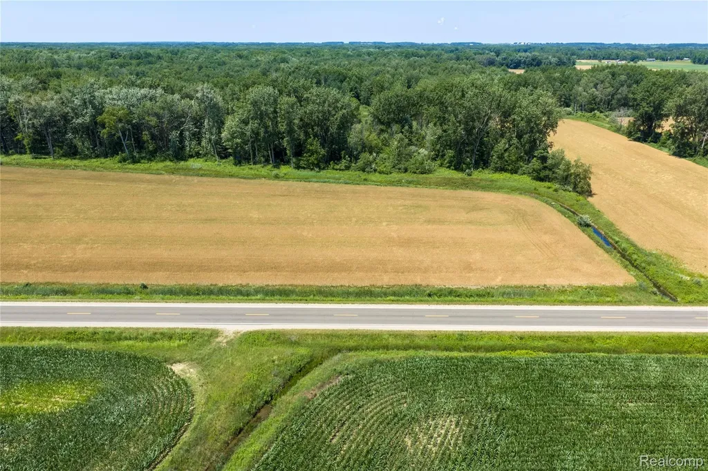Parcel A Dodge Road Ellington Township MI 48726