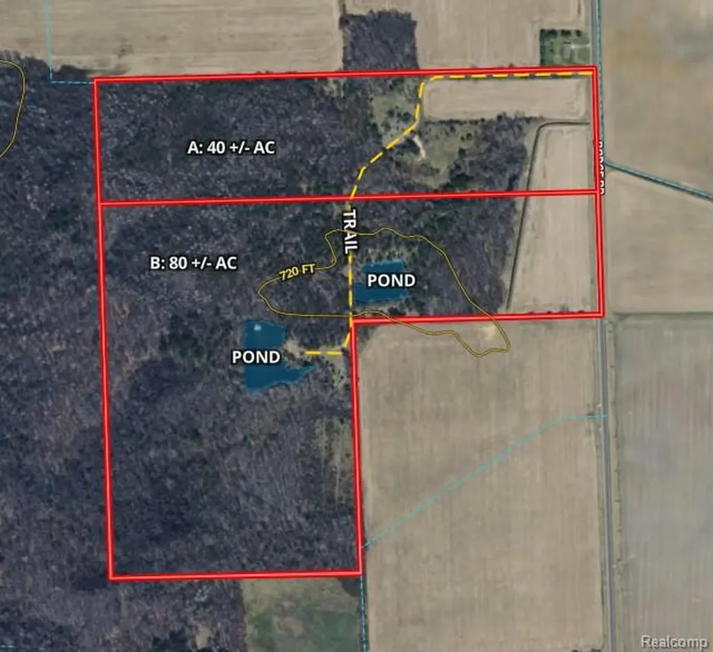 Parcel A Dodge Road Ellington Township MI 48726