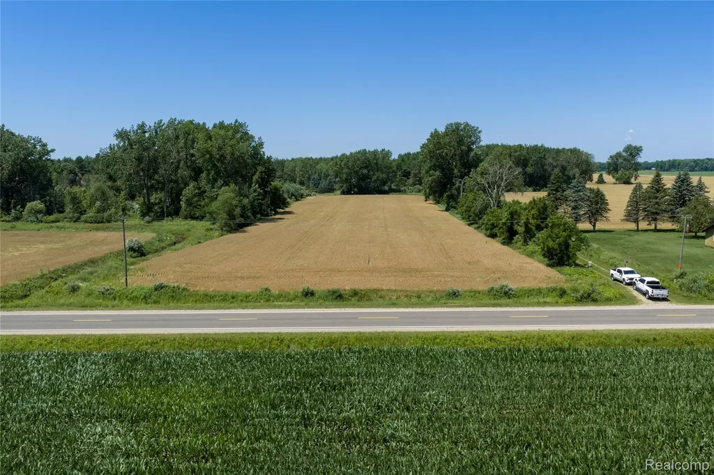 Parcel A Dodge Road Ellington Township MI 48726
