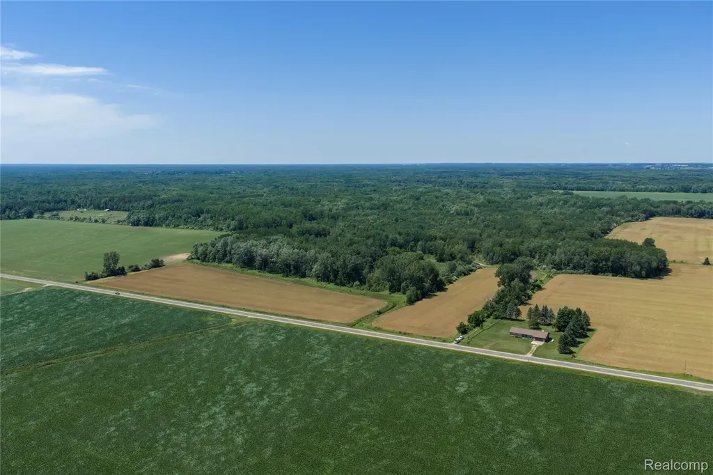 Parcel A Dodge Road Ellington Township MI 48726