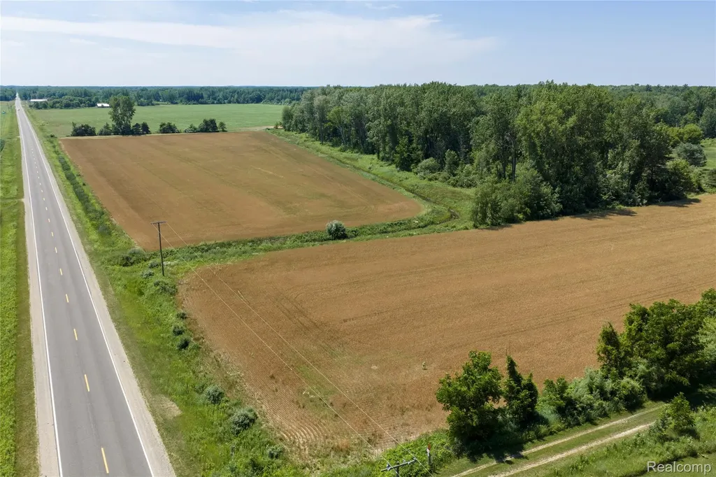 Parcel A Dodge Road Ellington Township MI 48726
