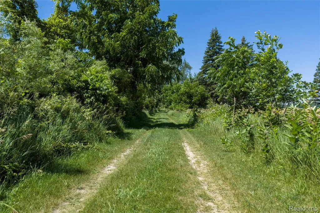 Parcel A Dodge Road Ellington Township MI 48726