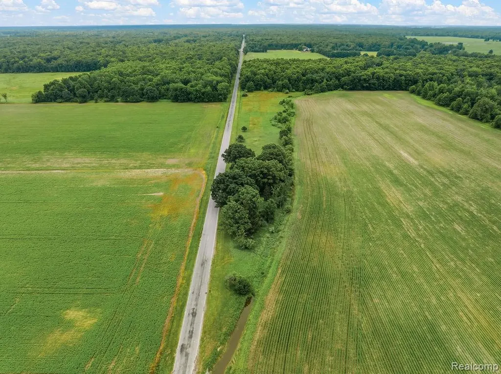 16545 W Ithaca Road Brant Township MI 48655